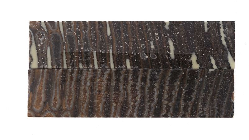 Manche de molaire de mammouth stabilisée MARRON